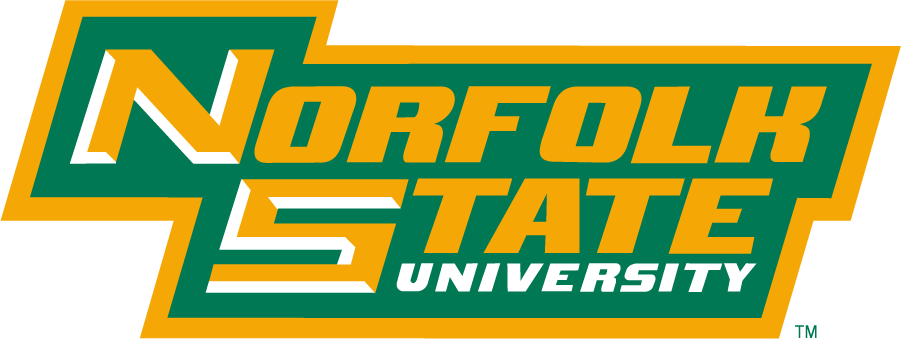 Norfolk State Spartans 1999-Pres Wordmark Logo v3 diy iron on heat transfer